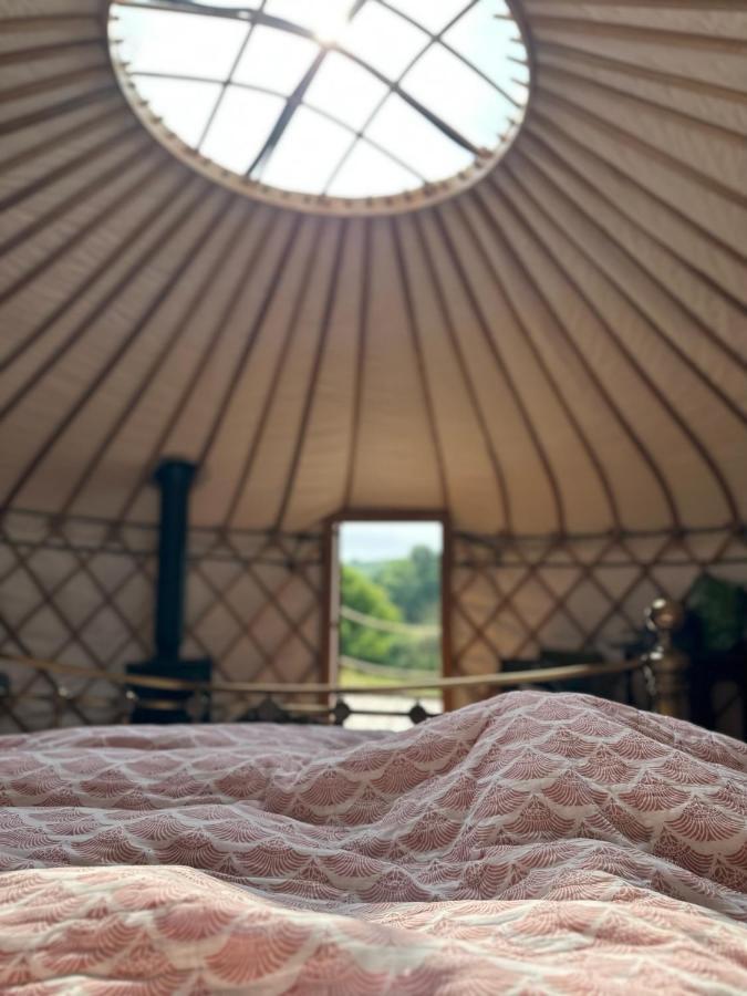 Bracken Yurt At Walnut Farm Glamping Otel Netherbury Dış mekan fotoğraf
