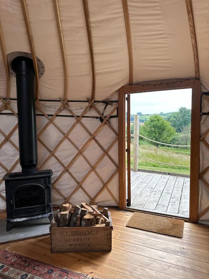 Bracken Yurt At Walnut Farm Glamping Otel Netherbury Dış mekan fotoğraf